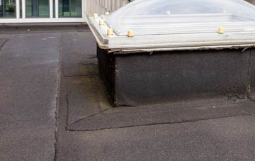 disadvantages of Hylton Castle flat roofs