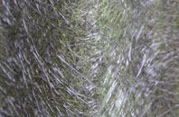 Hylton Castle fibreglass roof work